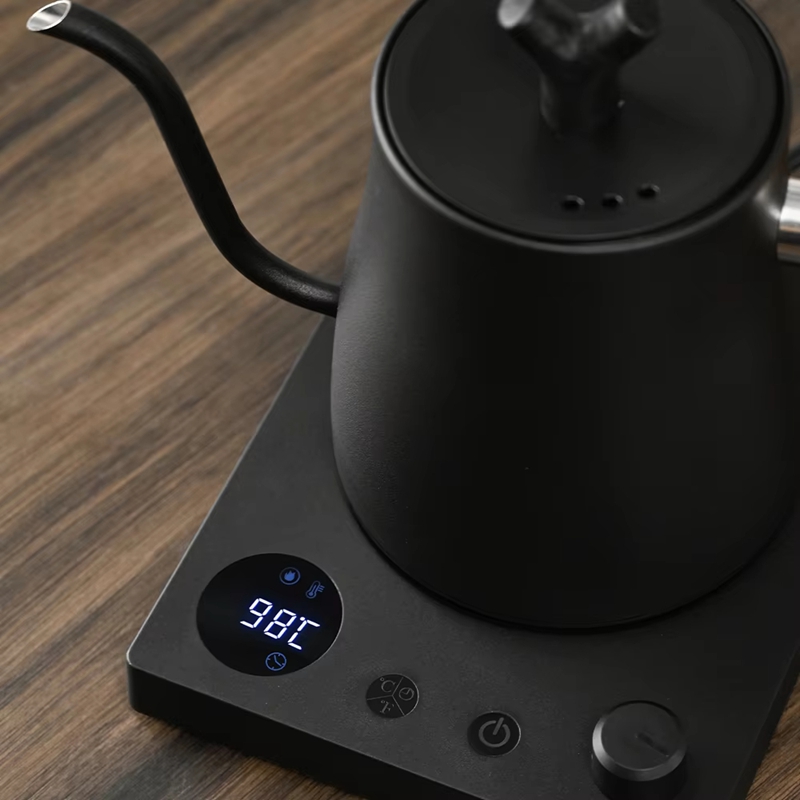 1000ml Gooseneck Electric Kett - Electric Kettle Temperature Control review and price