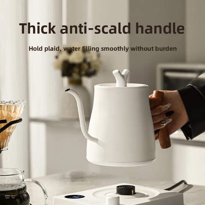 1000ml Gooseneck Electric Kett - Electric Kettle Temperature Control review and price